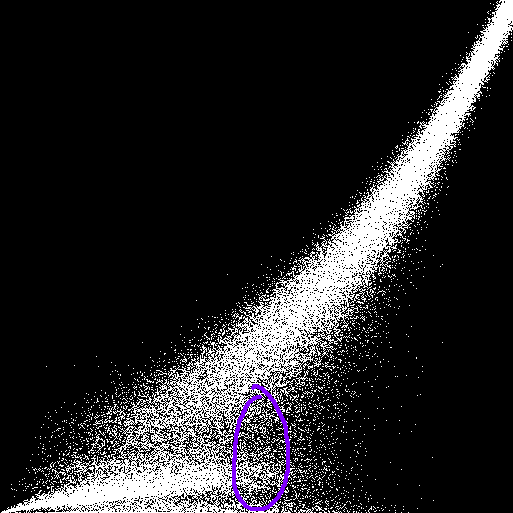 Region where population splits into groups