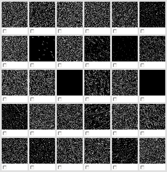 Population with 25% ones in genotype