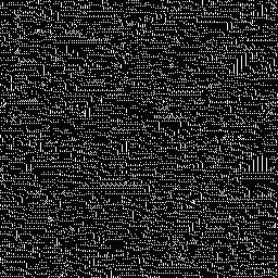 Evolved automaton 1, 256×256, iteration 1000