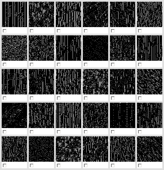 Population after thirteen selection steps