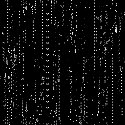 Selected automaton 4, 256×256, iteration 1000