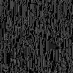 Selected automaton 5, 256×256, iteration 1000