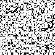 Conway-type rule 100001100110111110