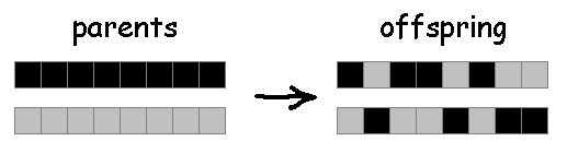 Multi-point crossover